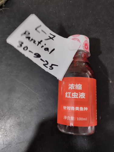 WhatsApp Image 2025 09 30 at 07.04.34 a373fecc.jpg