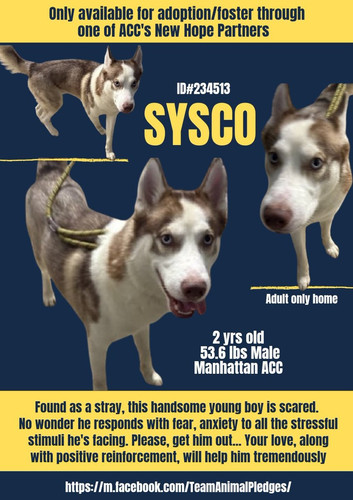 GzU7a QWcAAubB4?format=jpg.jpg