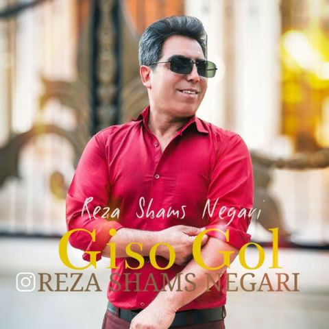 دانلود آهنگ رضا شمس نگاری به نام گیسو گل