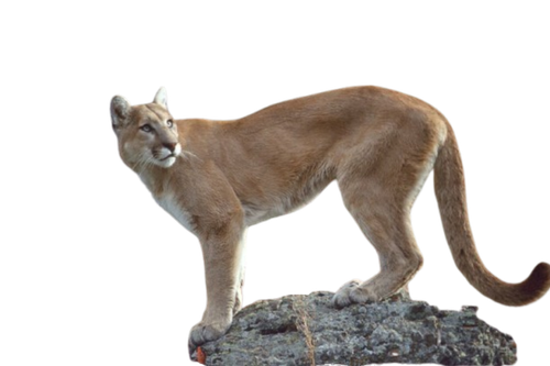 image 2025 09 29 225544656.png