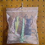 Black Country, New Road – Ants From Up There