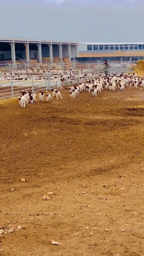 VpVjT1DN5RZhLT 3.jpg