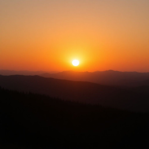 c7f65534d3c1.jpg