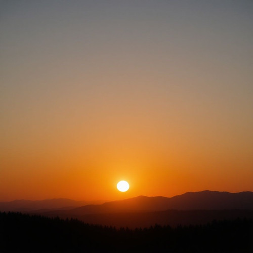 f0833eabd604.jpg