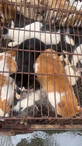 i6cHSlWvNu QFt8S.jpg