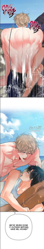 15.png