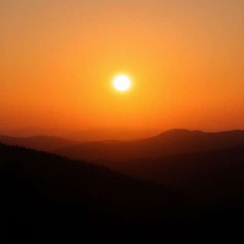 6d17a688a959.jpg