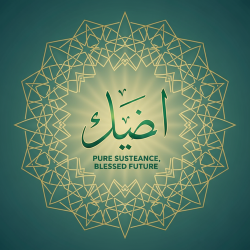 f2fc895659b0.png