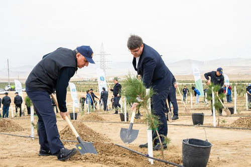 555996291 1214773390693783 506180655561763912 n.jpg?stp=dst jpg p526x395 tt6& nc cat=104&ccb=1 7& nc.jpg