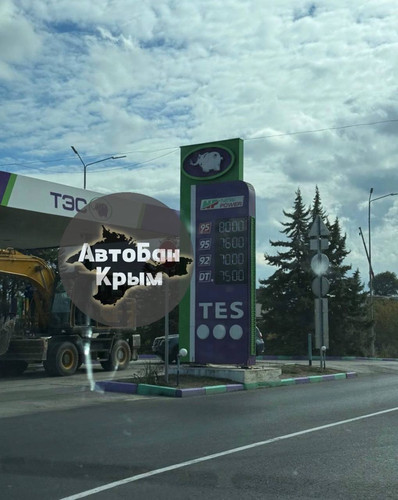 photo 5395743779216030506 y