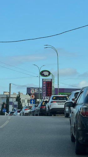 photo 5395743779216030507 y