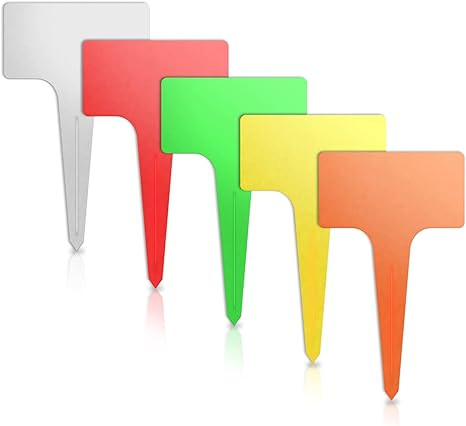 51v8UUUAfHL. AC SX466 .jpg