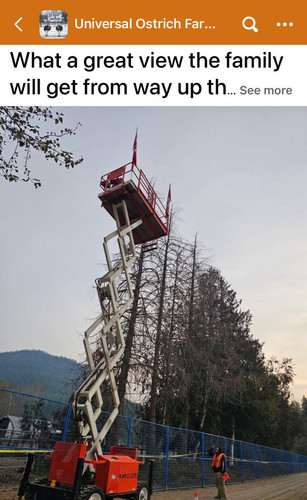 G18dQWhbUAAyltl.jpg