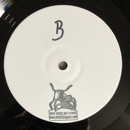 Drahomira Song Orchestra The Couch.jpg