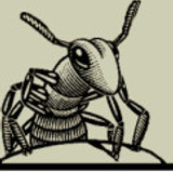 sello Flesh Eating Ants Records