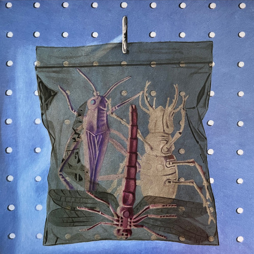 Black Country, New Road – Ants From Up There 2.jpg