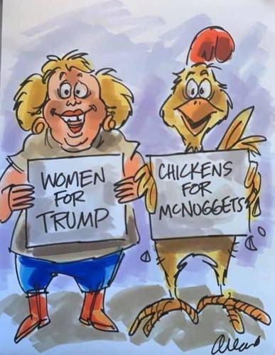 chickens for mcnuggets 2.jpg