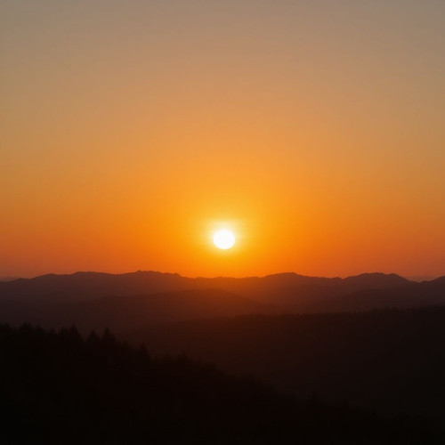 f0c8546732f2.jpg