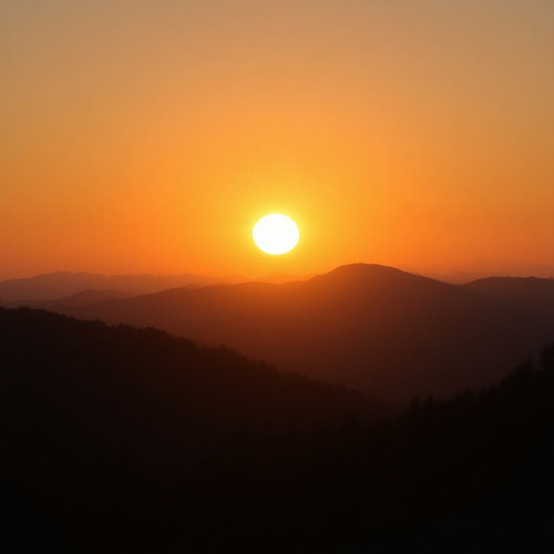 5ca7a93b8c87.jpg