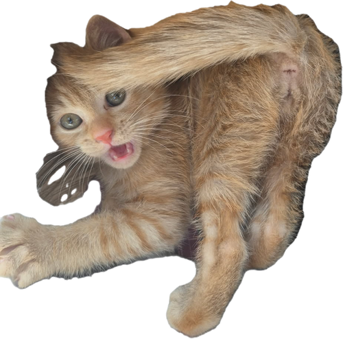 1759180606370.png