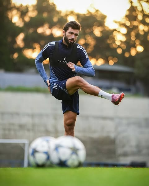 556188903 1126390769610434 3859509945192951952 n.jpg?stp=dst jpg s600x600 tt6& nc cat=109&ccb=1 7& n.jpg