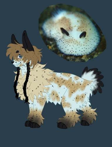 Screenshot 20250717 120402 ibisPaint X.jpg