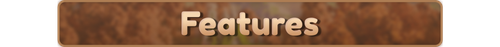 features.png