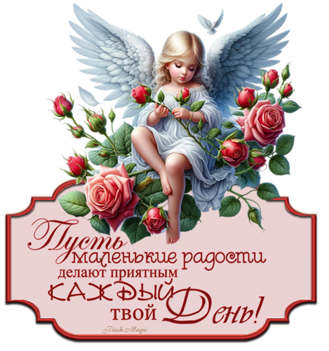 162120330 Kom 4.png