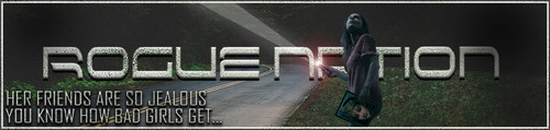 Torchy Banner.jpg