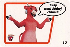 Veselá kráva 2012 12 Tady není žádný chlívek.jpg