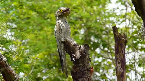 ZrHkV7h3KJ1xCE H.jpg