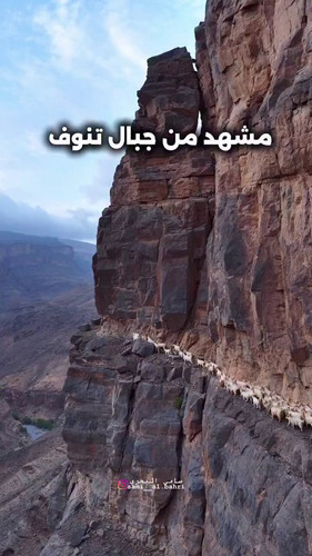 QAS5 Fmeh7QGwcGe.jpg