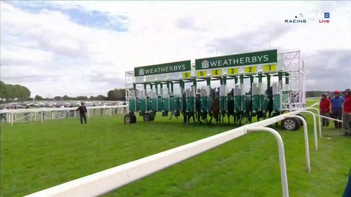 G6BQaAQFU6H yhQh.jpg