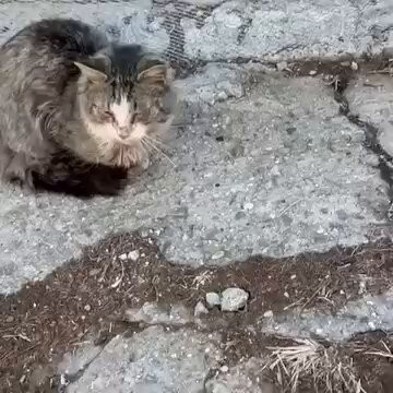 GZog rb8kXZzbEm6.jpg