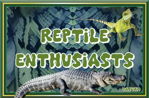 4c91117c 2436 47bc a41c d7745f1b5831.jpg