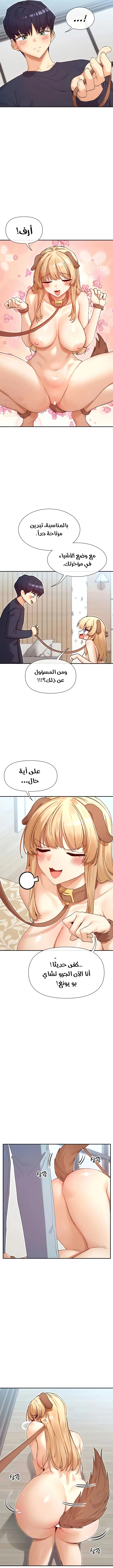 KHIJ1Np.md.webp