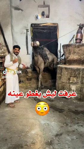 VwYuRL70 uLkFPMT.jpg