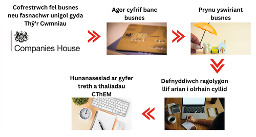 pathway inforgraphic welsh.png