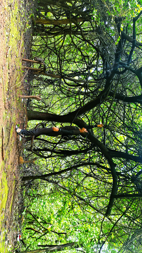 IMG 20250708 023909.png