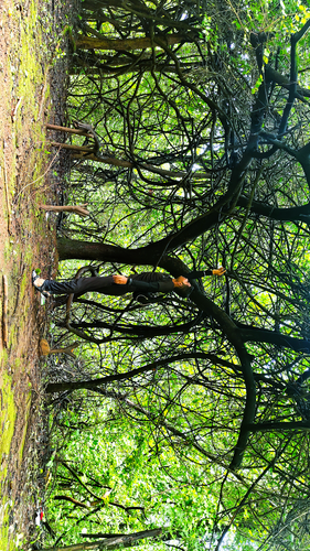 IMG 20250822 192644.png