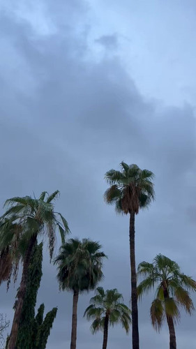 5OeGAOag Ji6Zko0.jpg