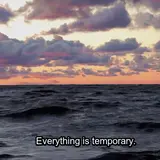 Everything Is Temporary.webp