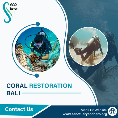 Coral Restoration Bali.jpg