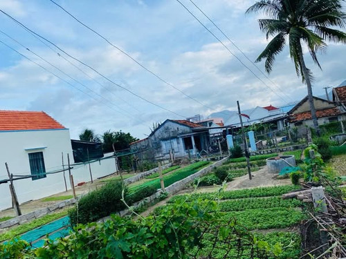 536910365 2375192246208855 4641153955330909137 n.jpg