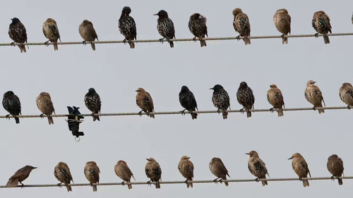 2HtFc4pT Ynn0Lu6.jpg