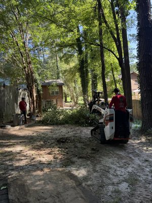 Insured Tree Removal Ellenwood GA.jpg