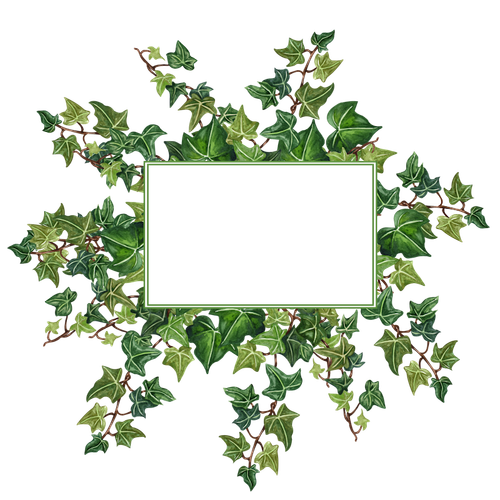 ert.png
