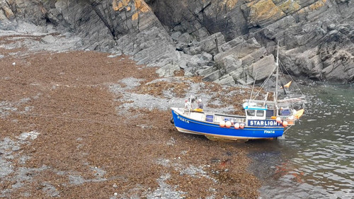 1D5wAcbk9ww5 zEx.jpg