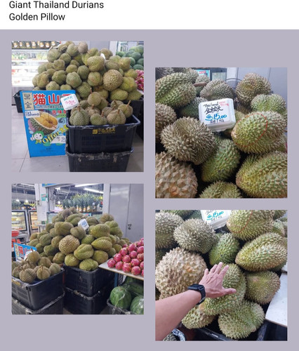 Screenshot 20250823 114240 Facebook.jpg