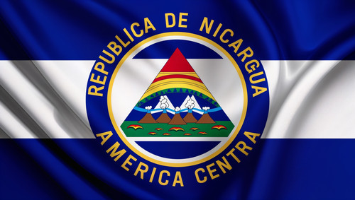 Leonardo Nic Flag.jpg